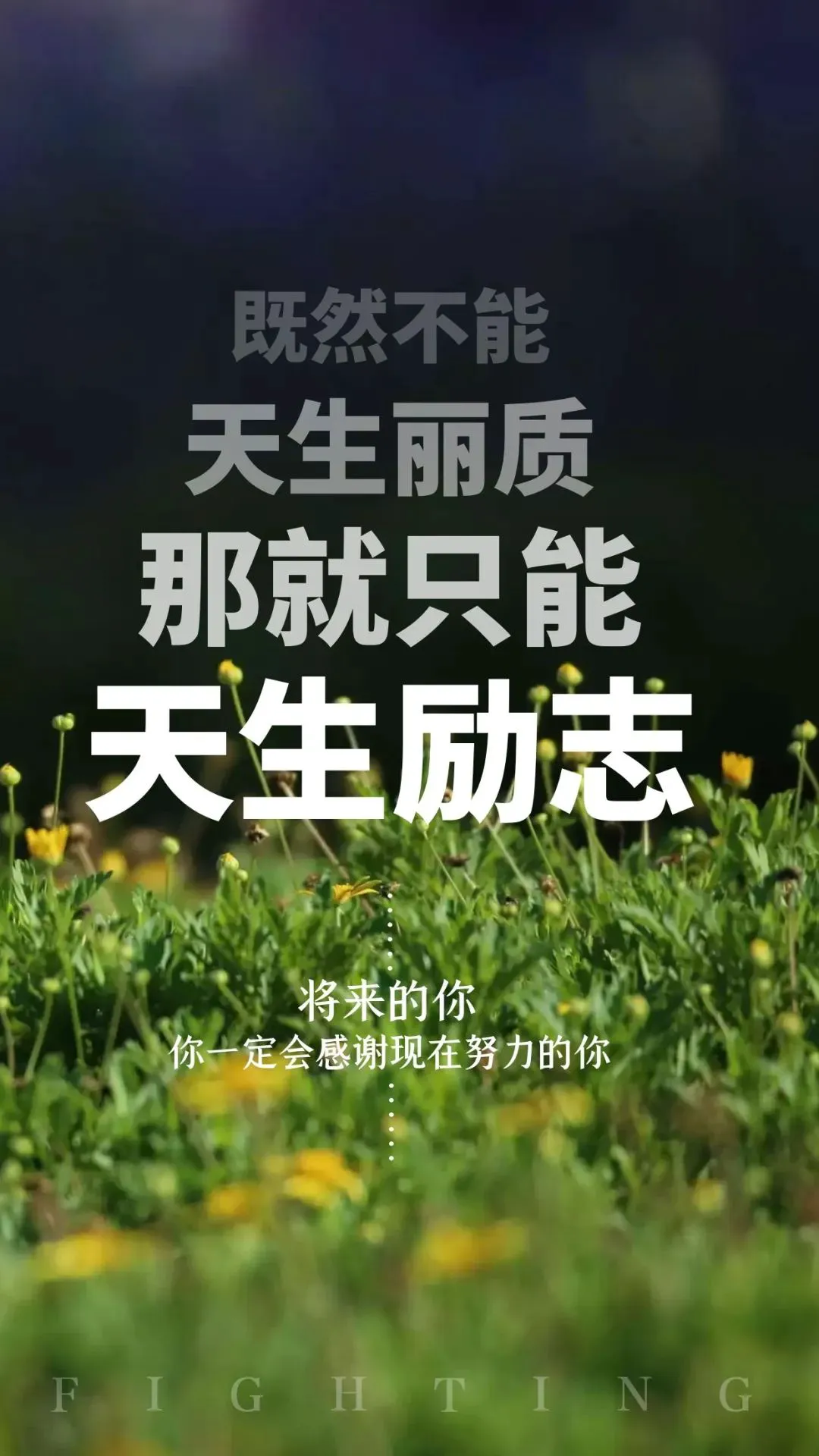 篮球基础训练儿童教案_0